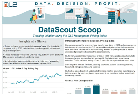 DataScout Scoop screenshot on QL2's website